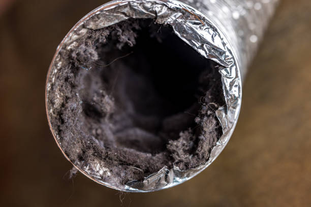 Best Air Duct Cleaning Near Me  in Combe, LA